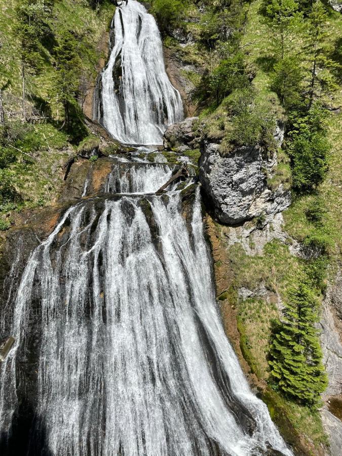 Berghaus Gesaeuse Pension Weng im Gesause Exteriér fotografie